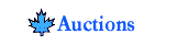 Auctions