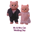 Mr. and Mrs. Cat: Wedding Day